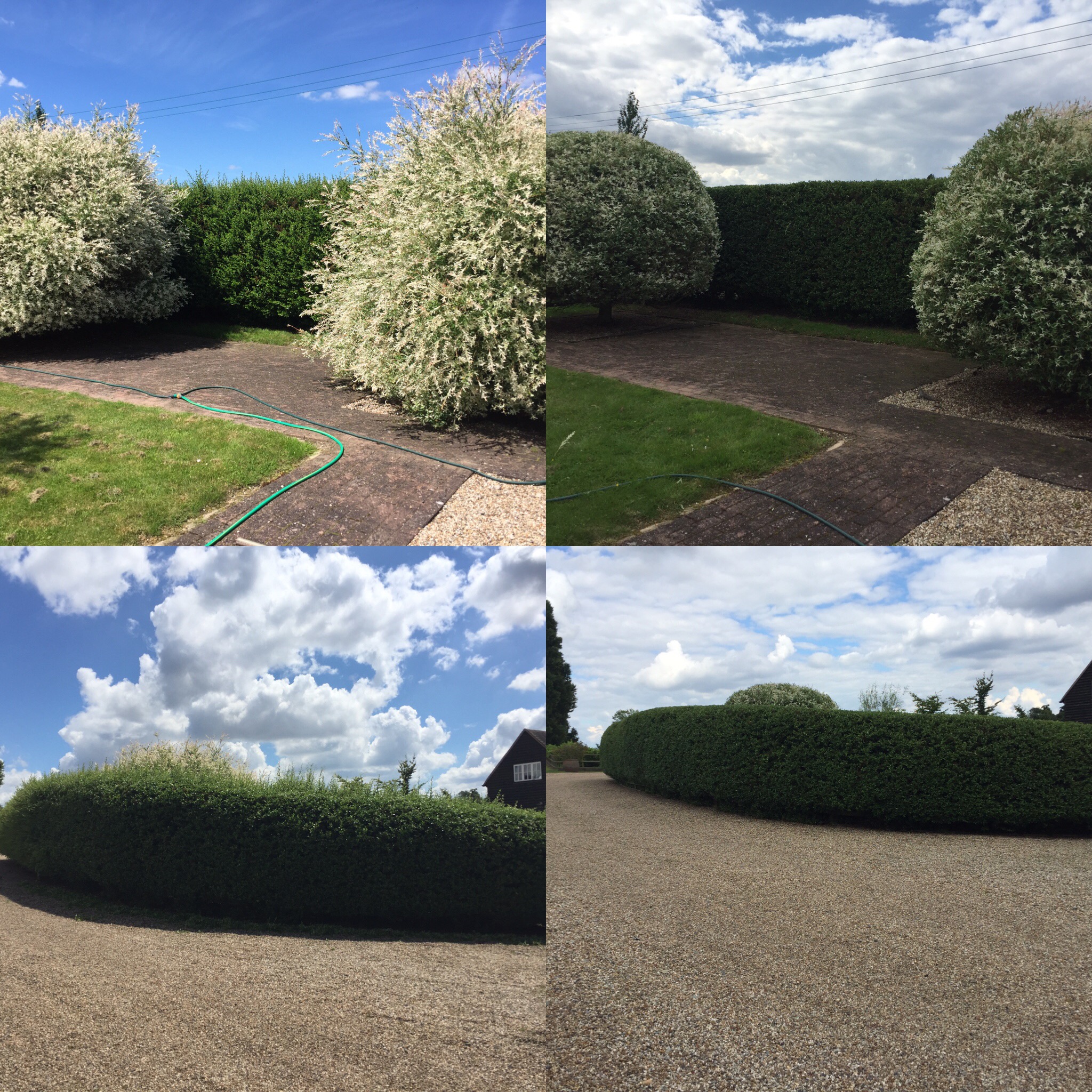 Hedge Care Services and Maintenance