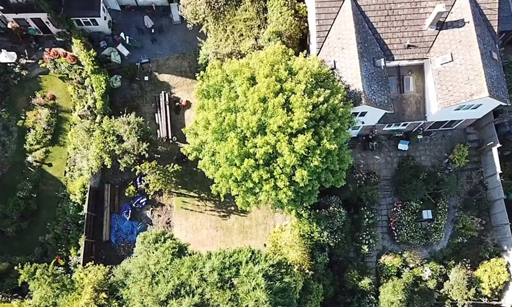 Tree Care Services and Maintenance