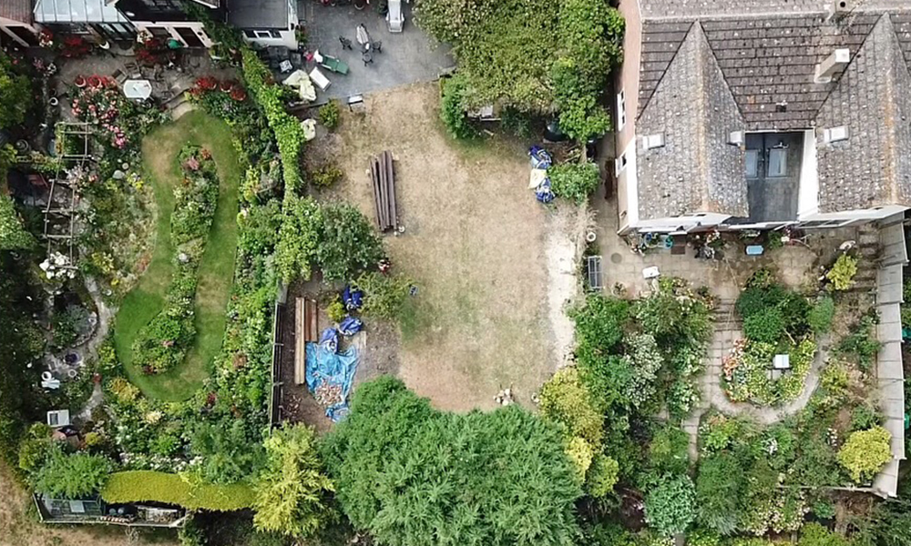 Tree Care Services and Maintenance