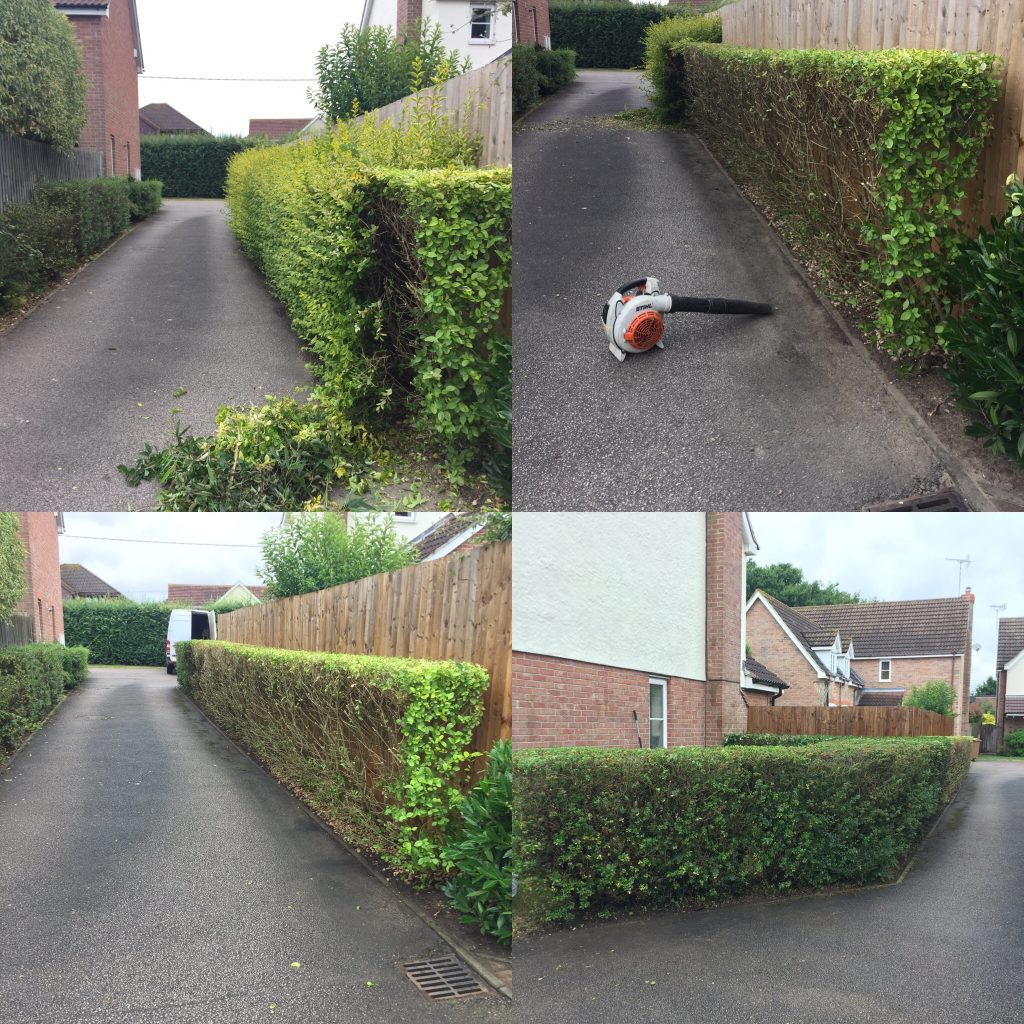 Hedge Care Services and Maintenance