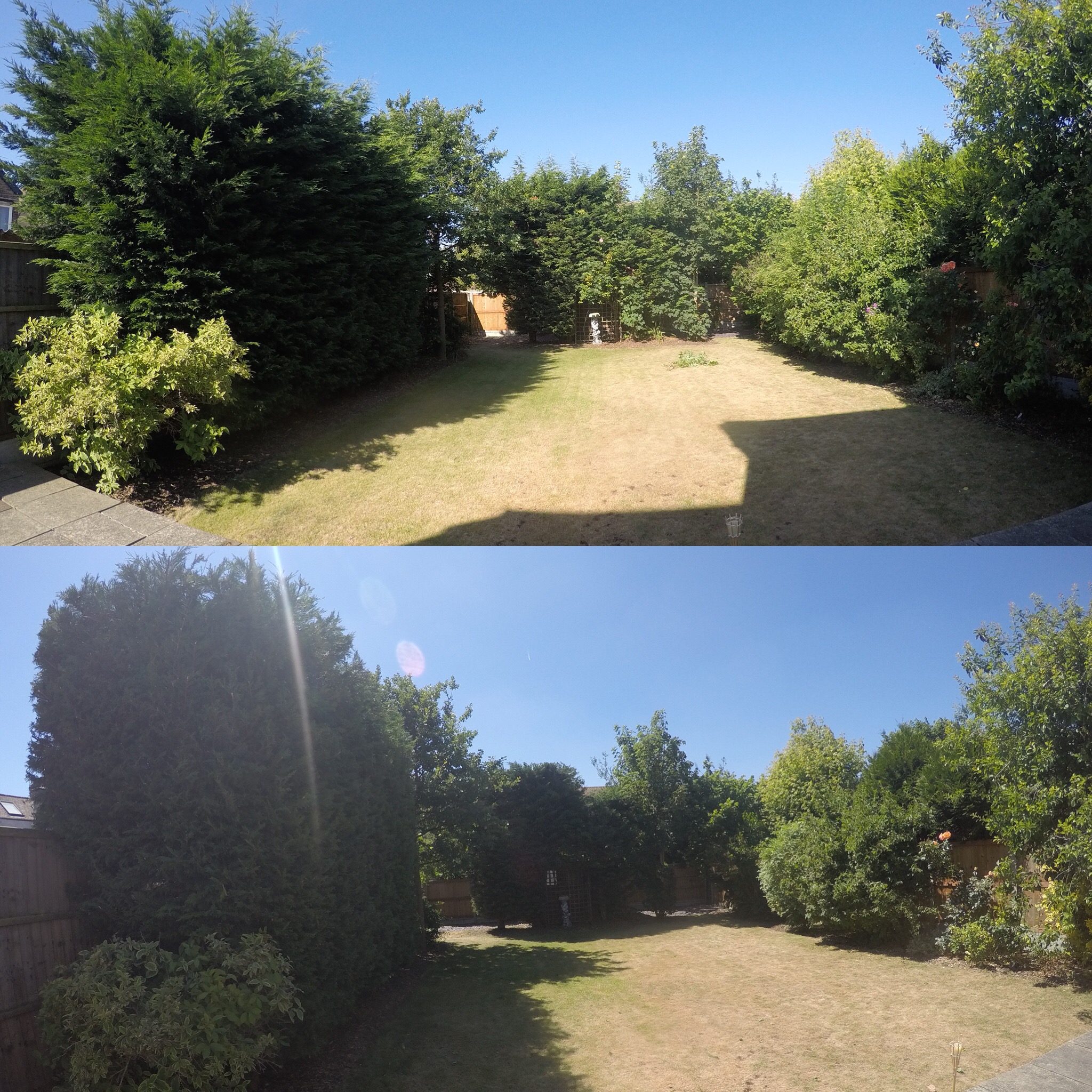 Hedge Care Services and Maintenance