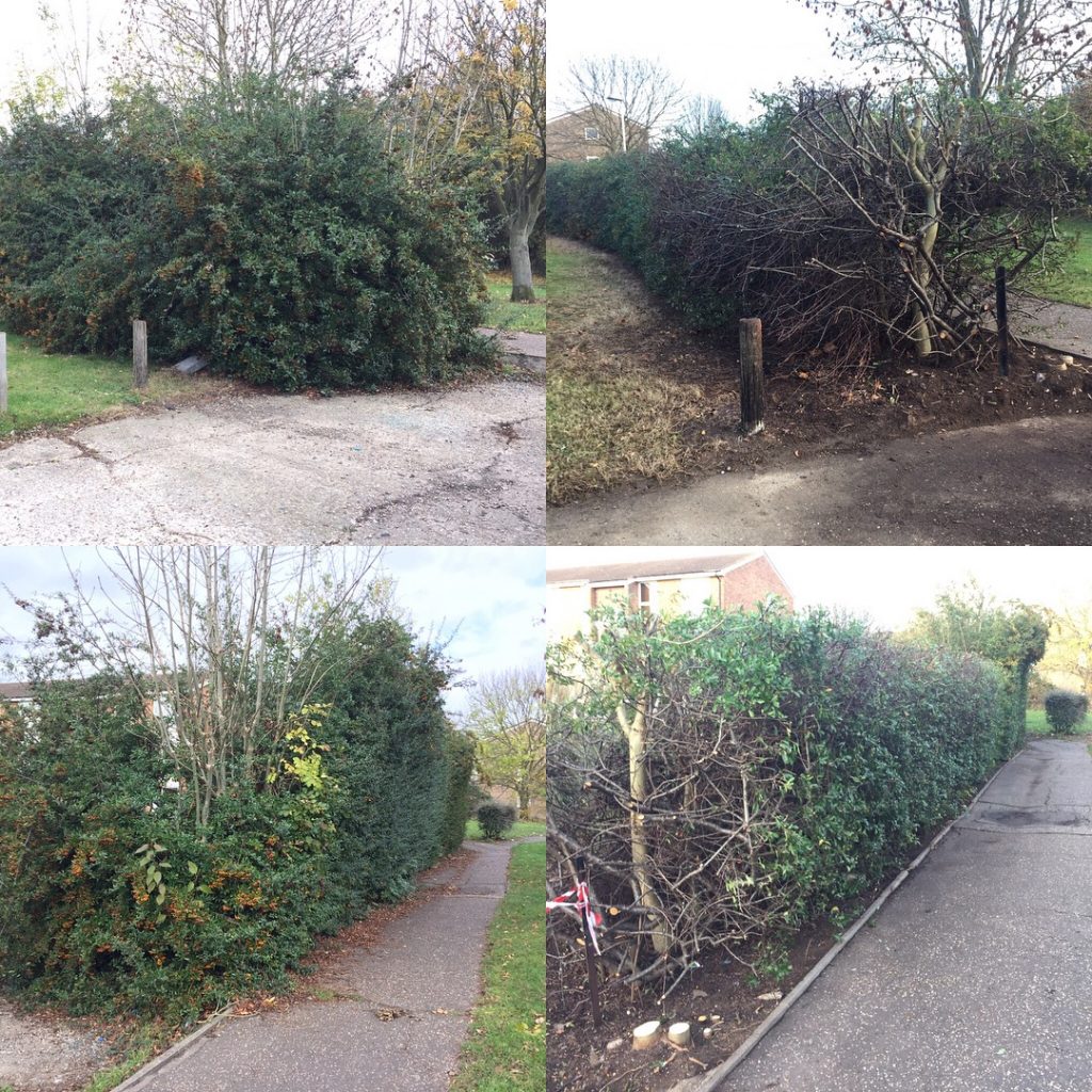 Garden Maintenance