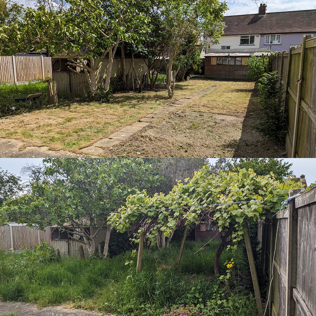 General and Garden Clearances Before and After