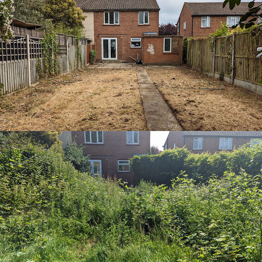 General and Garden Clearances Before and After